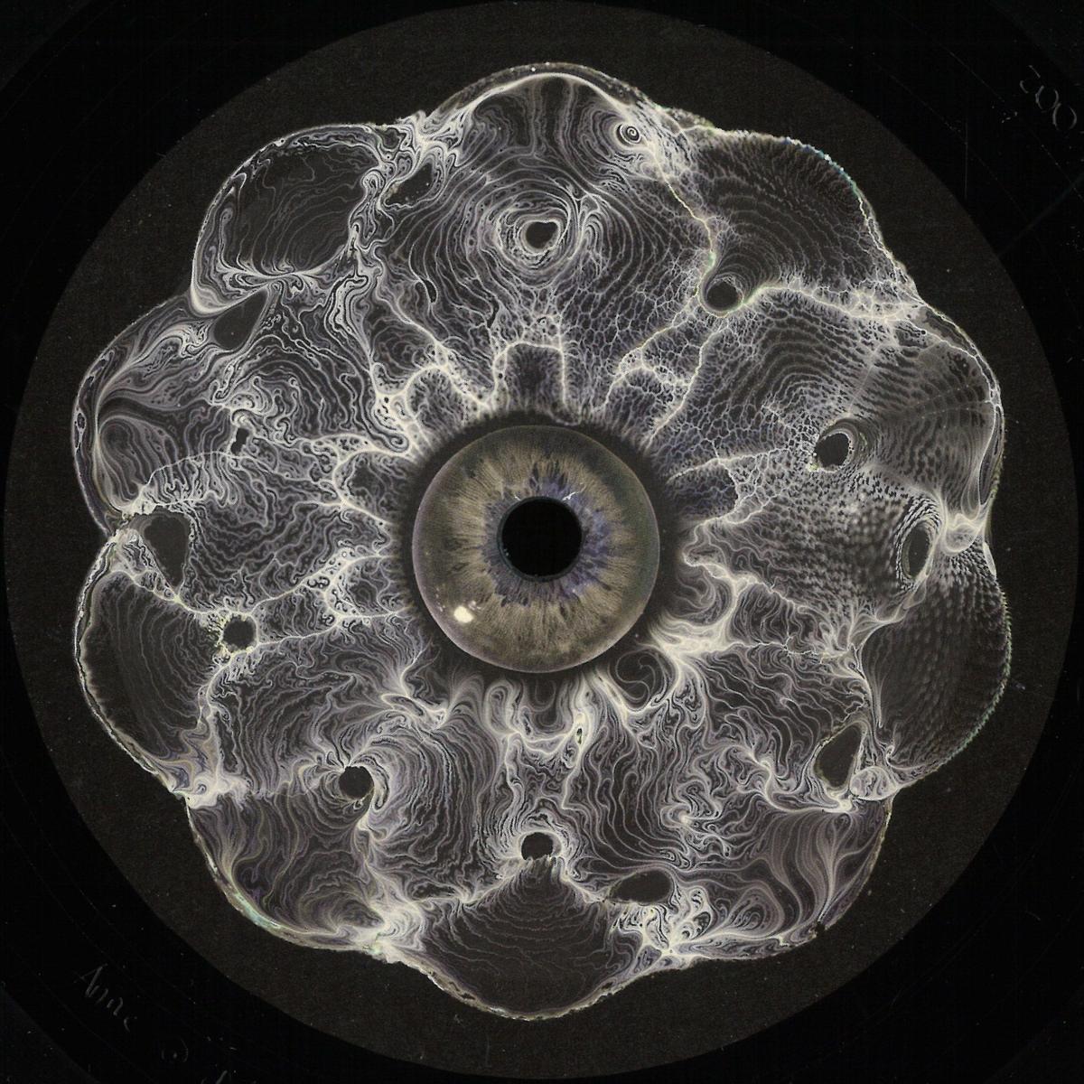Vinyl Speed Adjust