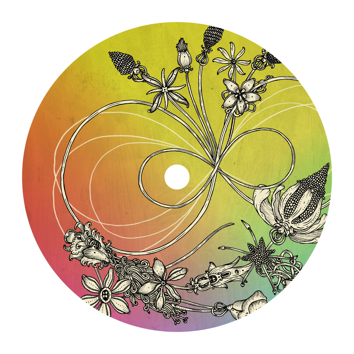 ORG Z Unreasonable Since: Reinterpretations